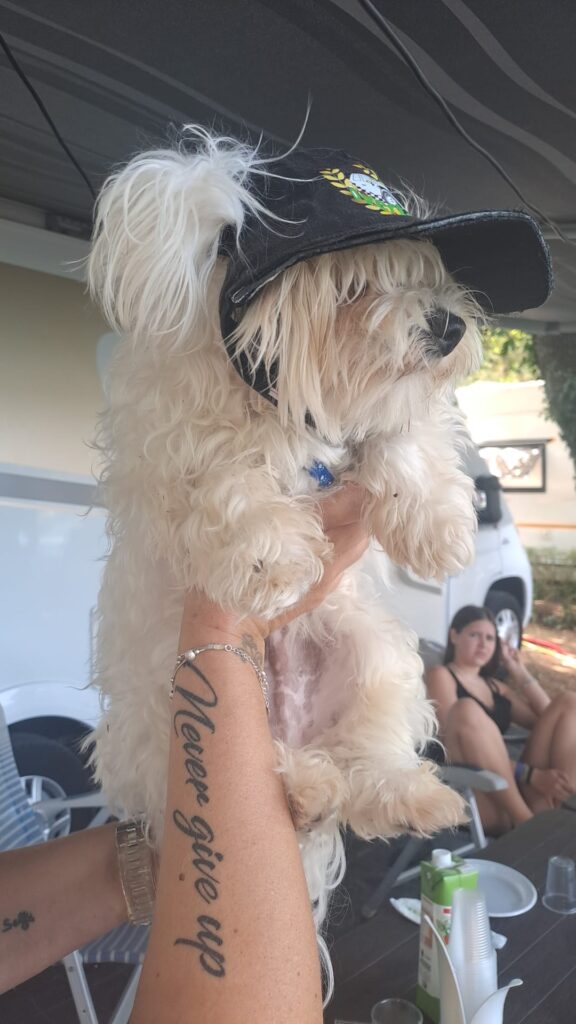 TURBO, LA NOSTRA MASCOTTE